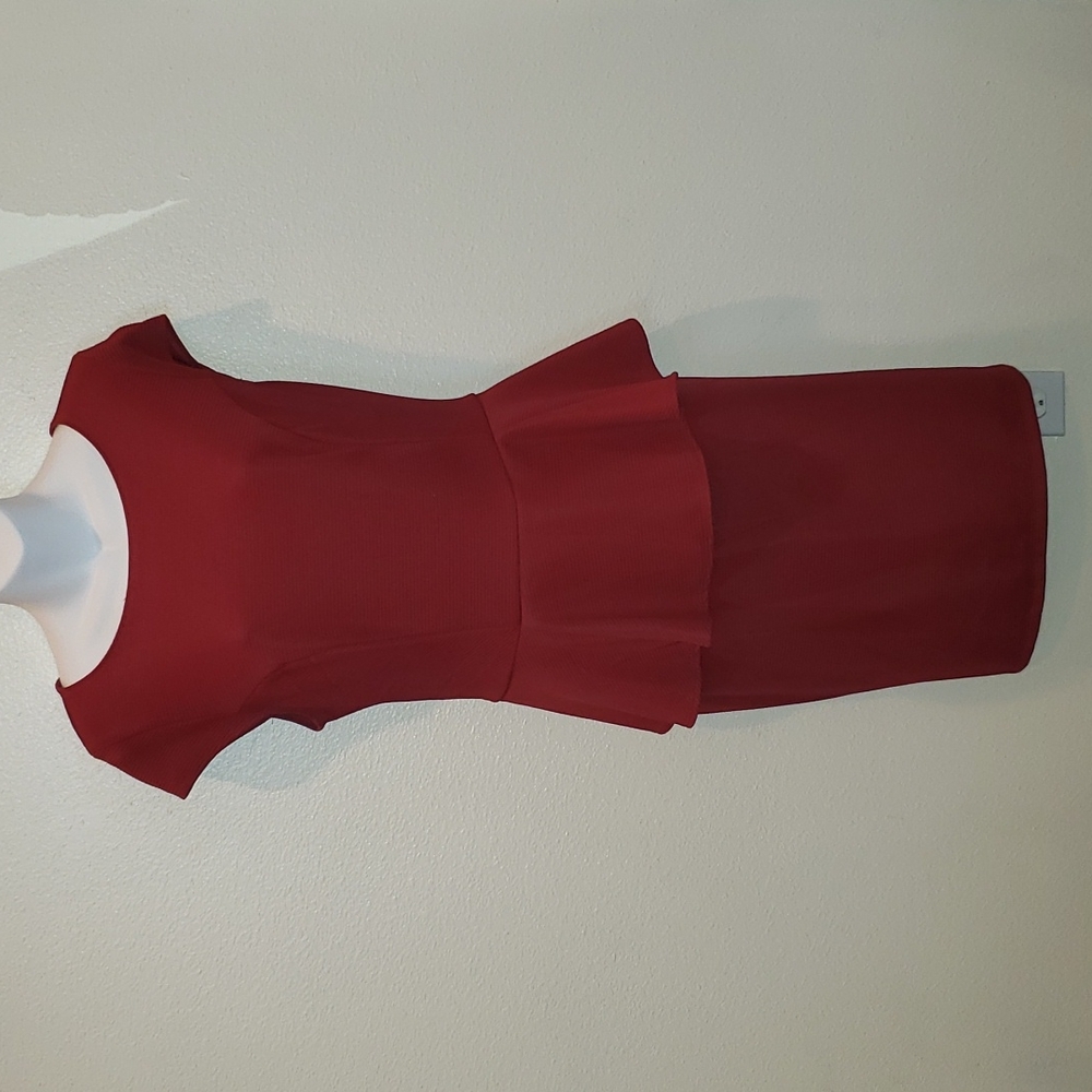 NWOT Cranberry Dress sz Large - Picture 1 of 9